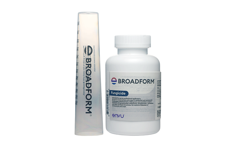 Digital_Ornamentals_Broadform-12fl-cup_Packshot_800x500_NA_US_EN.png