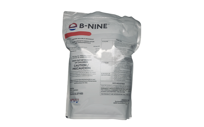 Digital_Ornamentals_B-Nine-5lb_Packshot_800x500_NA_US_EN.png