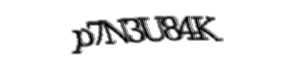 Security check image, please type the characters shown
